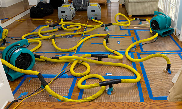 Professional Crawl Space Water Removal technician working in Huntingdon, TN